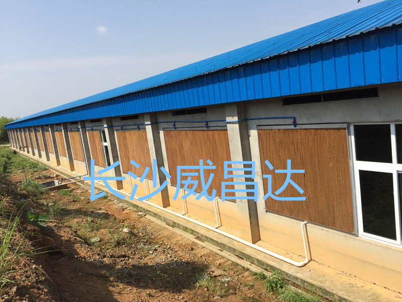 夏季燒烤模式開(kāi)啟，您的養(yǎng)殖畜禽舍降溫了嗎？湖南水簾風(fēng)機(jī)專業(yè)為養(yǎng)殖畜禽舍降溫